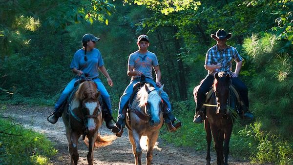 natchez trace state park horseback riding 